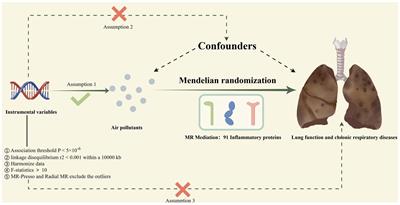 Causal effects of air pollutants on lung function and chronic respiratory diseases: a Mendelian randomization study